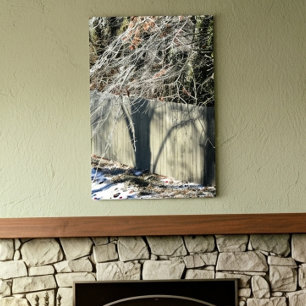 Imaginary Shadow Winter Tree Fine Art Photography Canvas Print