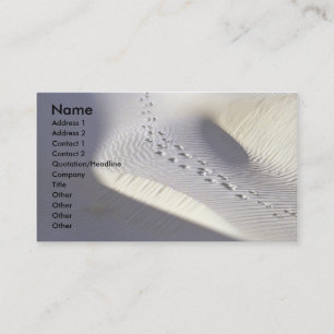 Imagination Business Card