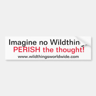 IMAGINE - Bumper Sticker