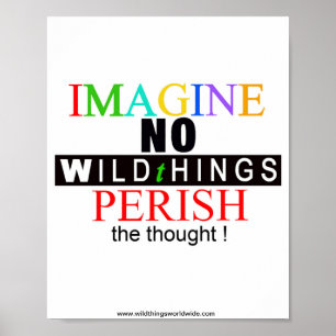 Imagine - poster