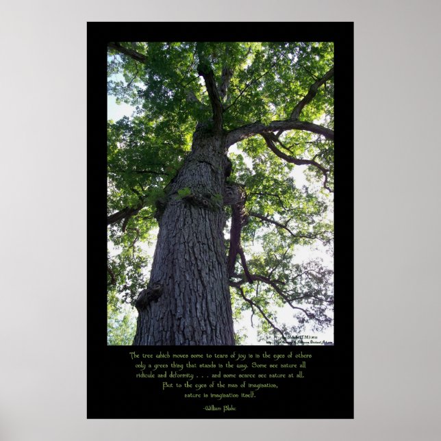 Imagine Poster (Front)