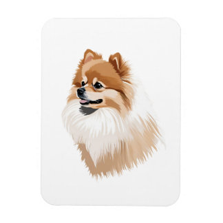 Imaging a Pomeranian Dog Magnet