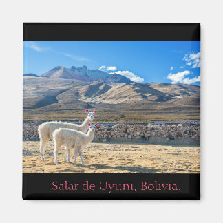 Imam, Flames Salar of Uyuni, Bolivia Magnet
