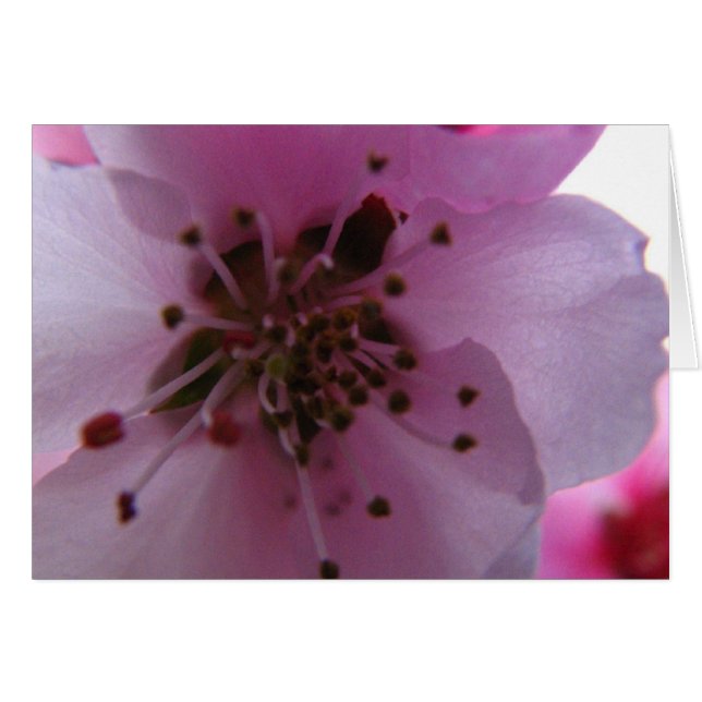 IMG_0037_3 (Front Horizontal)