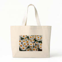 IMG_0066 Daisy Lovers