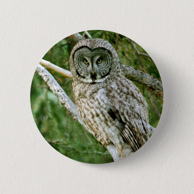 IMG_0297_2 6 CM ROUND BADGE (Front)