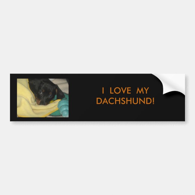 IMG_0456, I  LOVE  MY DACHSHUND! BUMPER STICKER (Front)