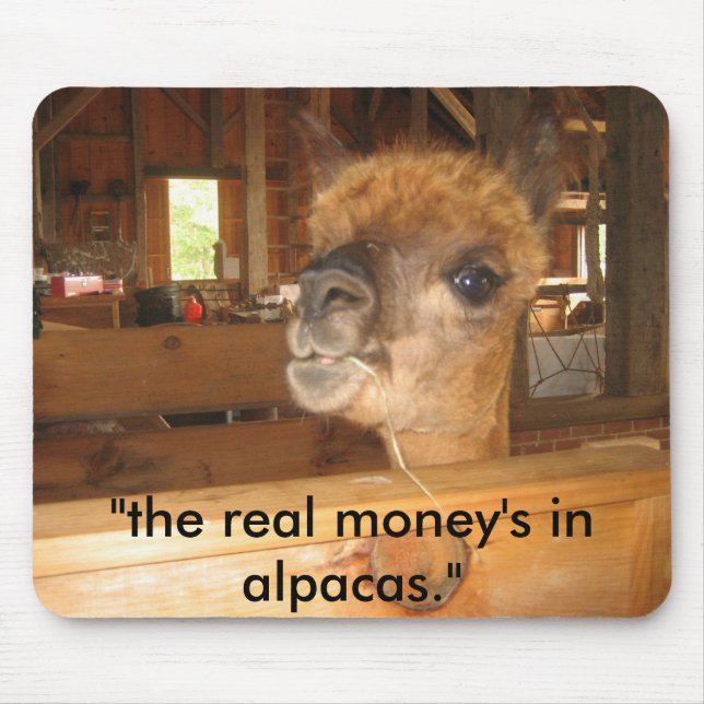 IMG_0591, "the real money's in alpacas." Mouse Pad (Front)