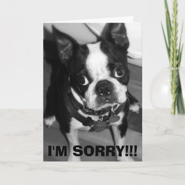 IMG_0932, I'M SORRY!!! CARD (Front)