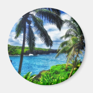 IMG_1122 4 Hawaiian Scene Black Sand Beach Magnet