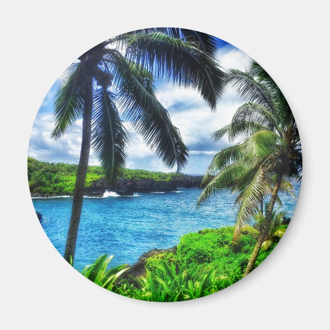 IMG_1122 4 Hawaiian Scene Black Sand Beach Magnet (Front)