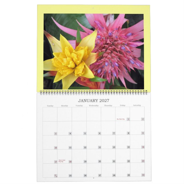 IMG_1311, 2008 CALENDER CALENDAR (Jan 2027)