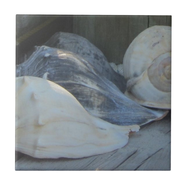 IMG_1498 (3).jpg Tile (Front)