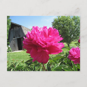 IMG_1506 POSTCARD