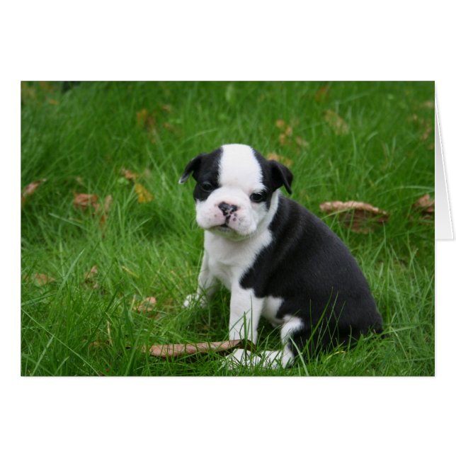 IMG_1665 (Front Horizontal)