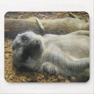 IMG_2196 MOUSE PAD