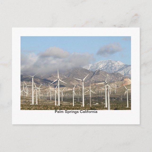 IMG_2436, Palm Springs California Postcard (Front)