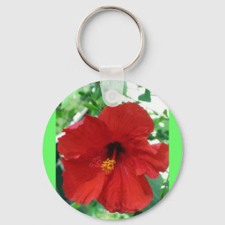 IMG_2905_edited Key Ring