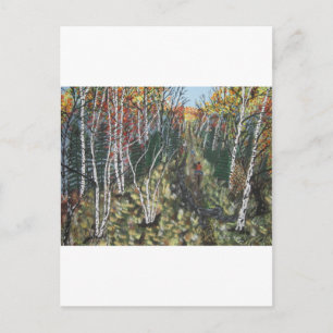 IMG_2974.JPGWhite Birch Trail Ride Postcard