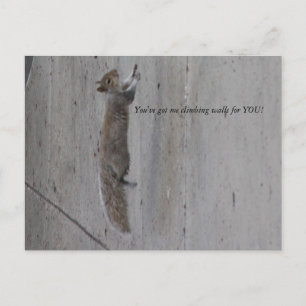 IMG_3995, You've got me climbing walls for YOU! Postcard