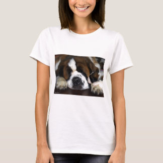 IMG_4069 T-Shirt