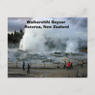 IMG_4274, Waikorohihi Geyser Rotorua, New Zealand Postcard