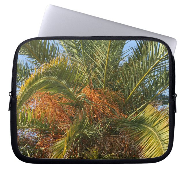 IMG_7080.JPGsummer, palm, leaf, tropical, tree,  Laptop Sleeve (Front)