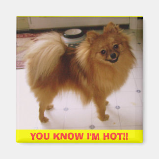 IMGP0288, YOU KNOW I'M HOT!! MAGNET
