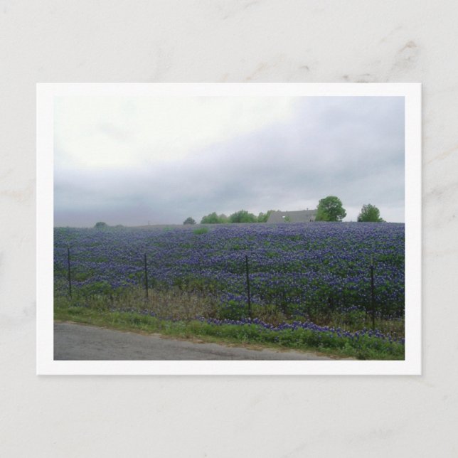 IMGP4303 POSTCARD (Front)