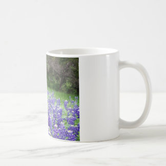 IMGP4308 COFFEE MUG