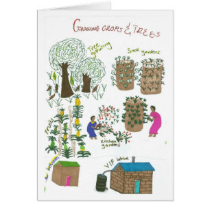 Immaculate's Bag Garden