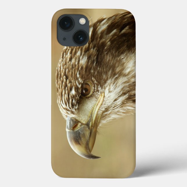 Immature Bald Eagle Case-Mate iPhone Case (Back)