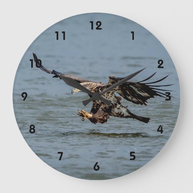 Immature Bald Eagle diving for a fish Large Clock (Front)