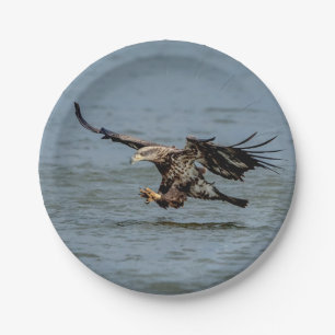 Immature Bald Eagle diving for a fish Paper Plate