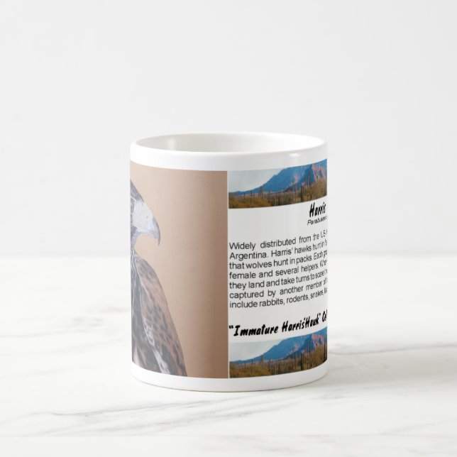 Immature Harris Hawk Coffee Mug (Center)