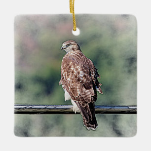 Immature Red Tailed Hawk Ceramic Tree Decoration