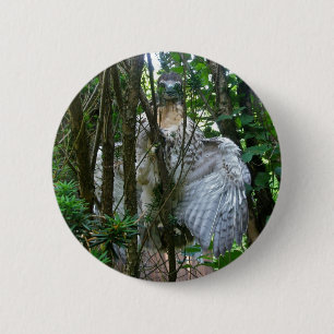 Immature Red Tailed Hawk Coordinating Items 6 Cm Round Badge