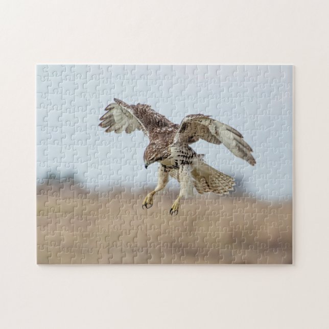 Immature Red Tailed Hawk Hovering Jigsaw Puzzle (Horizontal)