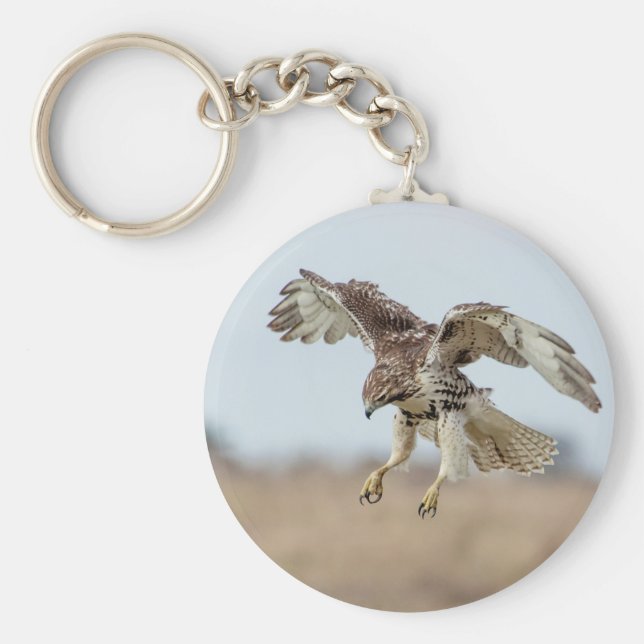 Immature Red Tailed Hawk Hovering Key Ring (Front)