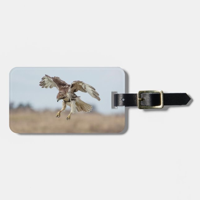 Immature Red Tailed Hawk Hovering Luggage Tag (Front Horizontal)