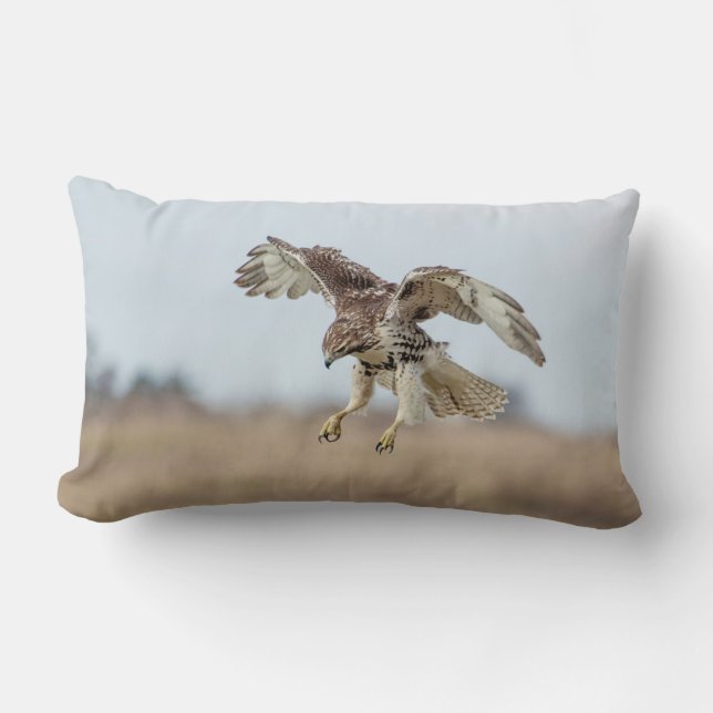 Immature Red Tailed Hawk Hovering Lumbar Cushion (Front)