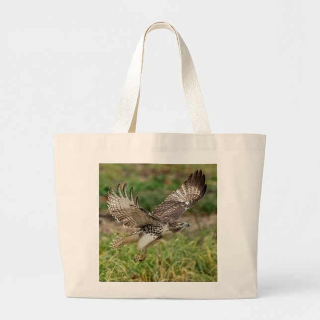 Immature Red Tailed Hawk Large Tote Bag (Front)