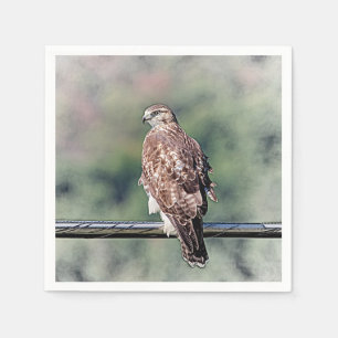 Immature Red Tailed Hawk Napkin