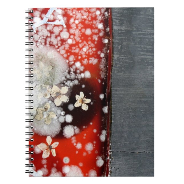 Immortality 2 spiral notebook (Front)
