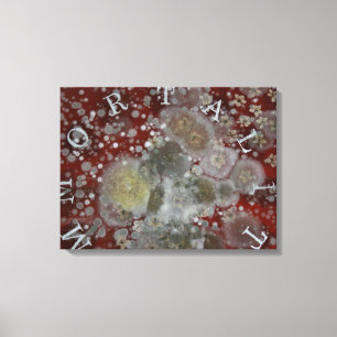 Immortality Canvas Print
