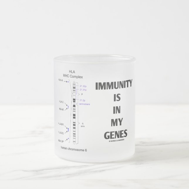 Immunity Is In My Genes (Immunology Chromosome 6) Frosted Glass Coffee Mug (Center)
