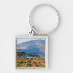 Impala (Aepyceros Melampus), Hluhluwe-Umfolozi Key Ring