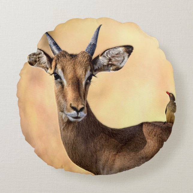 Impala and Oxpecker Bird in Africa Round Cushion (Front)