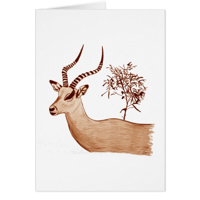 Impala Antelope Animal Wildlife Drawing Sketch (Front)