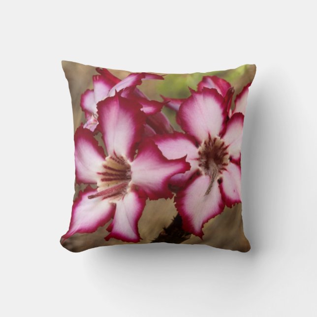 Impala Lily (Adenium Multiflorum), Kruger Cushion (Front)
